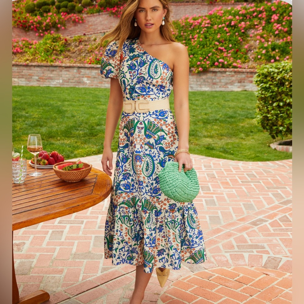 Ellington Printed Puff Sleeve Midi Dress